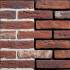 Кирпич ручной формовки Engels Kameleon DF 215x101x65