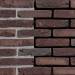 Кирпич ручной формовки Engels Pollux DF 215x101x65