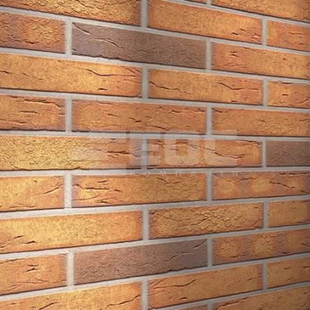 Клінкерна фасадна плитка R268 LDF14 290x52x14