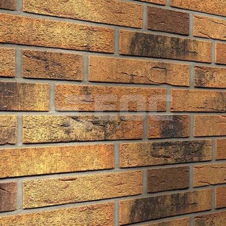 Клінкерна фасадна плитка R286 LDF14 290x52x14