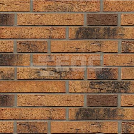 Клінкерна фасадна плитка R286 LDF14 290x52x14
