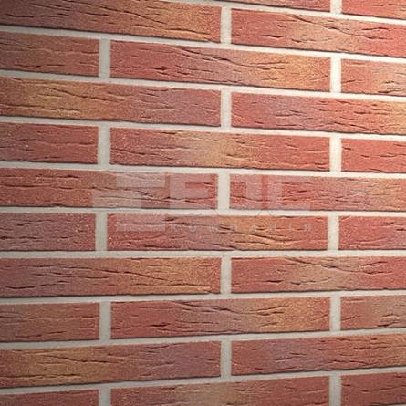Клинкерная фасадная плитка R332 LDF14 290x52x14