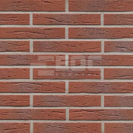 Клінкерна фасадна плитка R335 LDF14 290x52x14