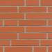 Клінкерна фасадна плитка R480 LDF14 290x52x14
