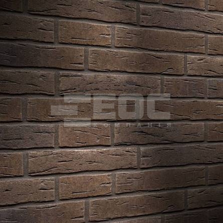 Клинкерная фасадная плитка R669 LDF14 290x52x14