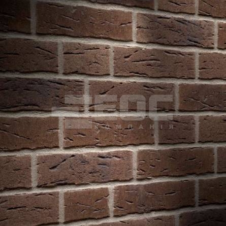 Клінкерна фасадна плитка R669 NF11 240x11x71
