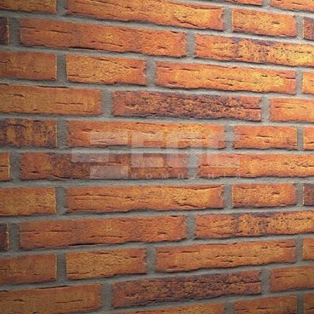 Клинкерная фасадная плитка R684 LDF14 290x52x14