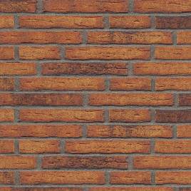 Клинкерная фасадная плитка R684 LDF14 290x52x14