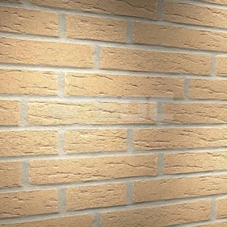 Клінкерна фасадна плитка R692 LDF14 290x52x14