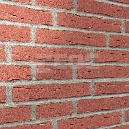 Клінкерна фасадна плитка R694 LDF14 290x52x14