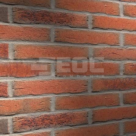 Клінкерна фасадна плитка R698 LDF14 290x52x14