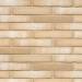 Клінкерна фасадна плитка R730 LDF14 290x52x14