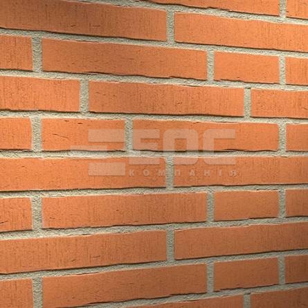 Клінкерна фасадна плитка R731 LDF14 290x52x14