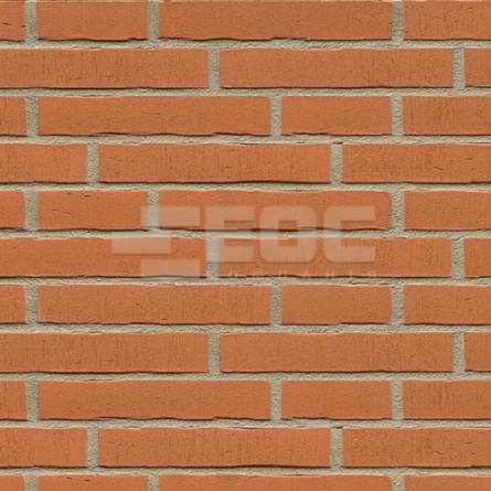 Клінкерна фасадна плитка R731 LDF14 290x52x14