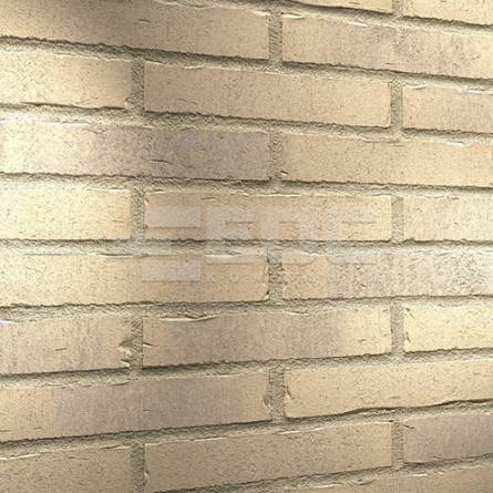 Клинкерная фасадная плитка R732 LDF14 290x52x14