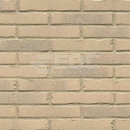 Клинкерная фасадная плитка R732 LDF14 290x52x14