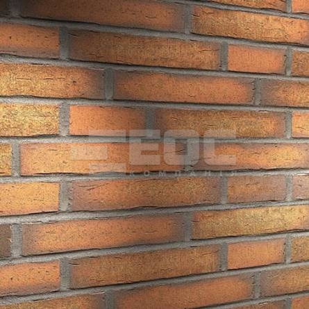 Клінкерна фасадна плитка R758 LDF14 290x52x14