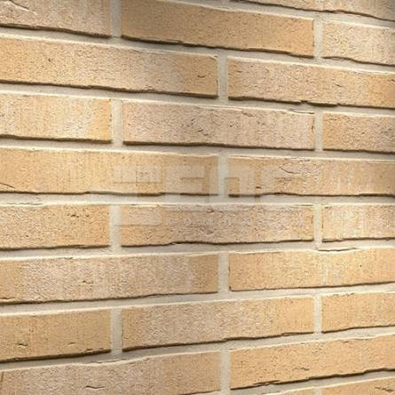 Клінкерна фасадна плитка R762 LDF14 290x52x14