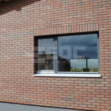 Клинкерная фасадная плитка R436 LDF14 290x52x14
