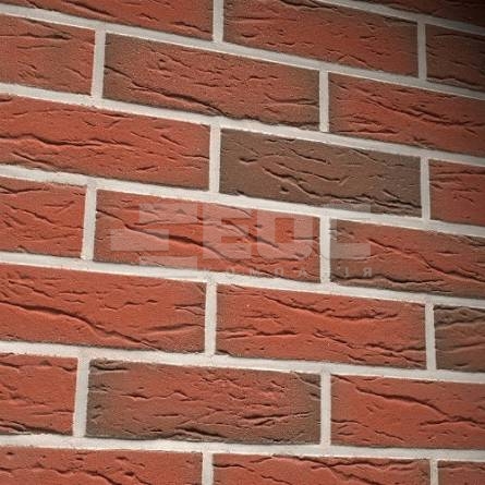 Клинкерная фасадная плитка R436 LDF14 290x52x14