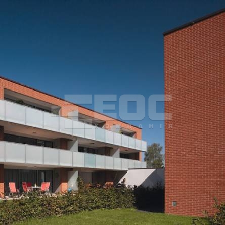 Клинкерная фасадная плитка R480 NF9 240x9x71