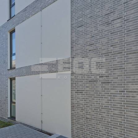 Клинкерная фасадная плитка R764 LDF14 290x52x14