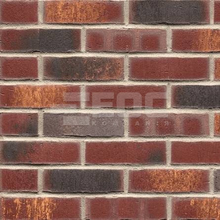 Клинкерная фасадная плитка R769 LDF14 290x52x14
