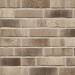 Клінкерна фасадна плитка R773 LDF14 290x52x14