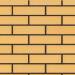 Клінкерна фасадна плитка 10 Desert Rose 250x65x10