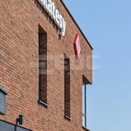 Кирпич ручной формовки Vandersanden 18 Viola Light WF-S 214x72x50