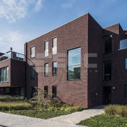 Цегла ручного формування Vandersanden 33 Parma DF-S 214x72x65