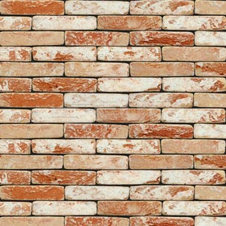 Цегла ручного формування NELISSEN 38T Hebe 210x100x50