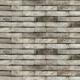 Цегла ручного формування NELISSEN 94S Borlo Sintered 210x100x50