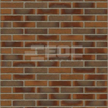 Цегла ручного формування Rijswaard Aalster Bont HV 210x100x50