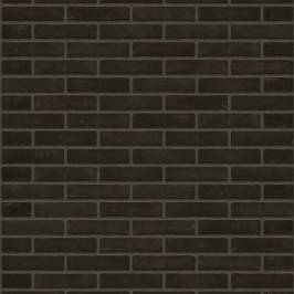 Цегла ручного формування Rijswaard Antraciet VB 210x100x50