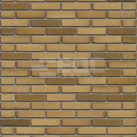 Цегла ручного формування Rijswaard Aqua Beige Redux 210x100x50