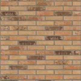 Кирпич ручной формовки Rijswaard Auriga HV 210x100x50