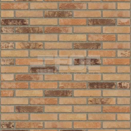 Цегла ручного формування Rijswaard Auriga HV 210x100x50