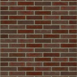 Цегла ручного формування Rijswaard Bommels Bont HV 210x100x50