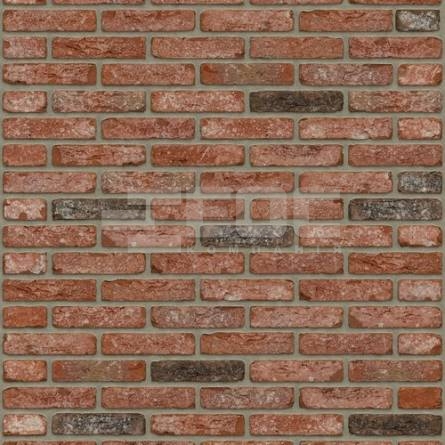 Цегла ручного формування Rijswaard Cheyenne HV 210x100x50