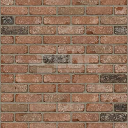 Цегла ручного формування Rijswaard Chimay 215x100x65
