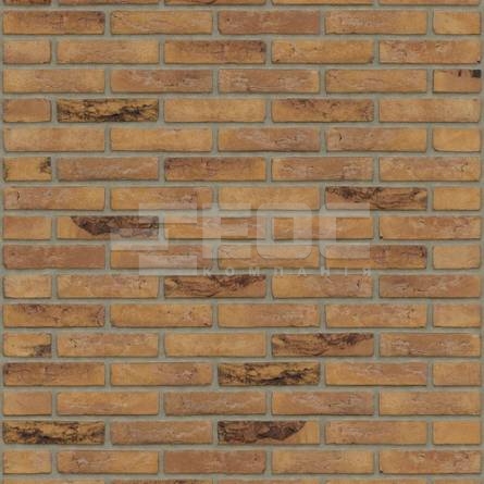 Цегла ручного формування Rijswaard Gamers bont HV 210x100x50