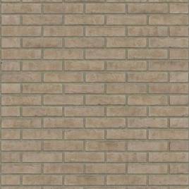 Кирпич ручной формовки Rijswaard Grus HV 210x100x50