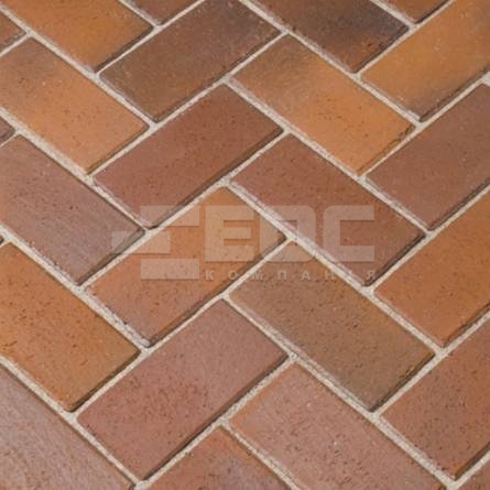 Тротуарна клінкерна бруківка Penter Florenz Bunt 200x100x52
