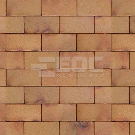 Тротуарная клинкерная брусчатка ABC Antik 200x100x52