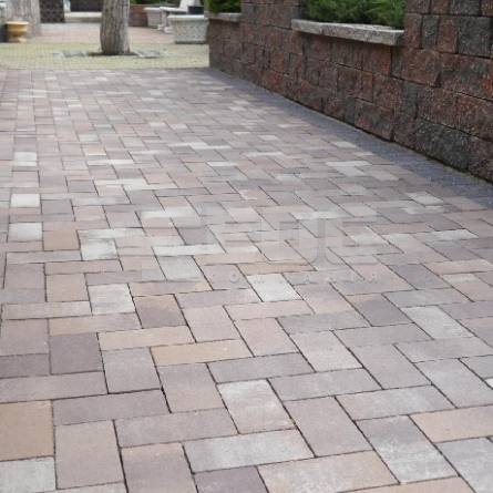 Тротуарна плитка Цегла стандартна без фаски 200х100х60 Терра