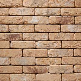 Фасадна плитка ручного формування 20 Oud Kuststeen DF 210x20x65  