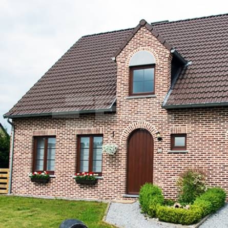 Vandersanden фасадная плитка ручной формовки 26 Alpenroos DF 210x20x65