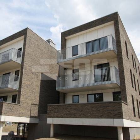 Кирпич ручной формовки Vandersanden 122 Brama WF 210x100x50