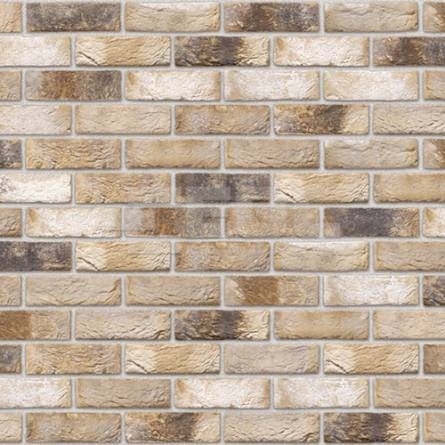 Кирпич ручной формовки Vandersanden 81 Ligure WF 210x100x50
